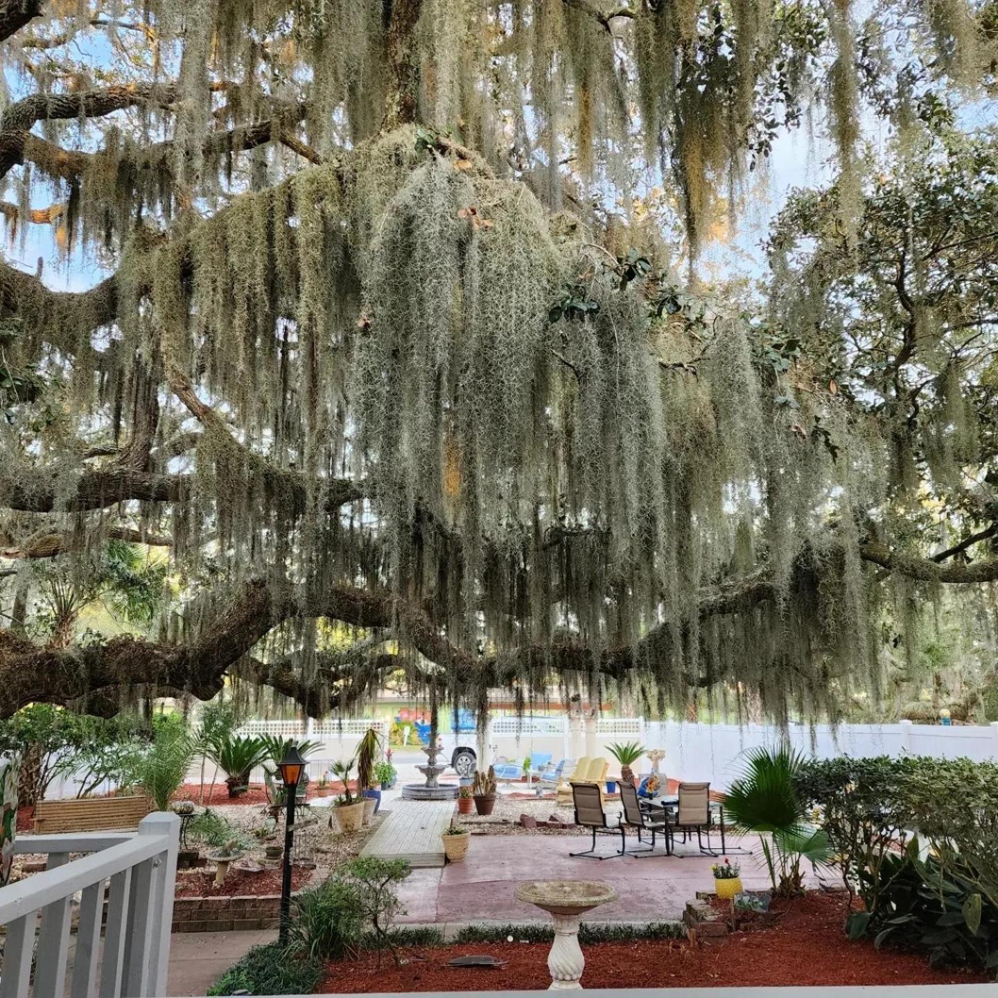 Tybee Island Inn Bed & Breakfast Luaran gambar